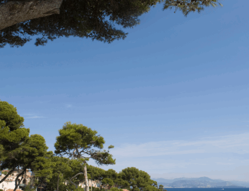 Top Affordable 3-Star Hotels in Antibes, France (2025 Guide)