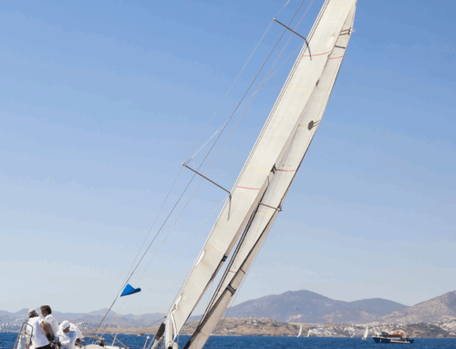 What’s new in Antibes ?