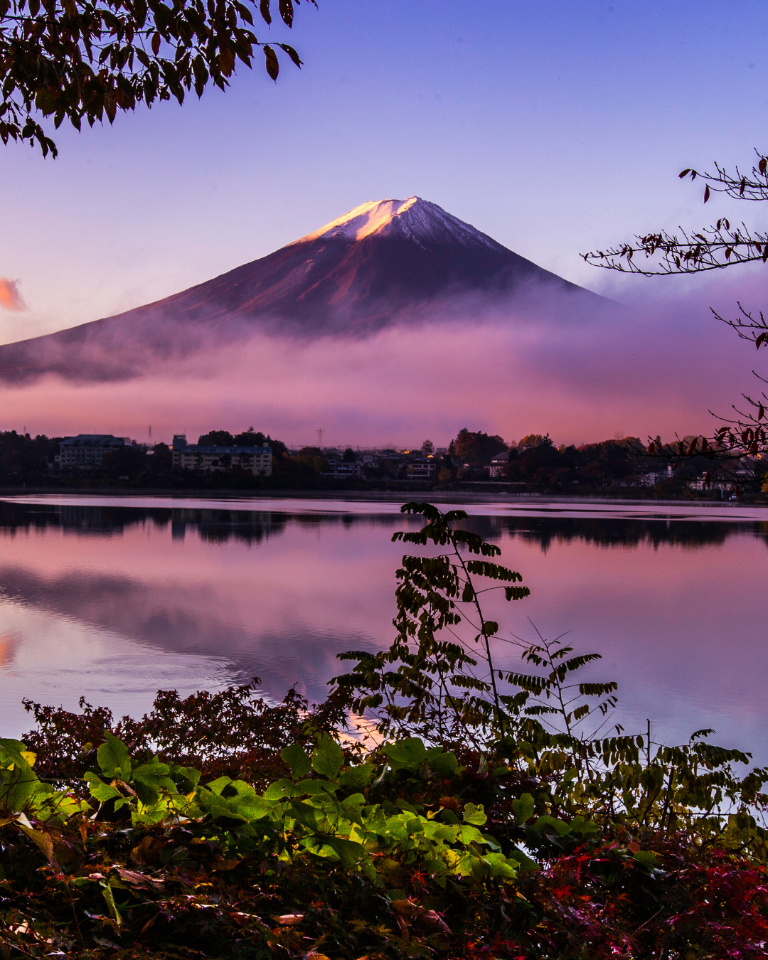 mount fuji