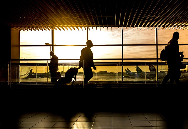 traveler traveler