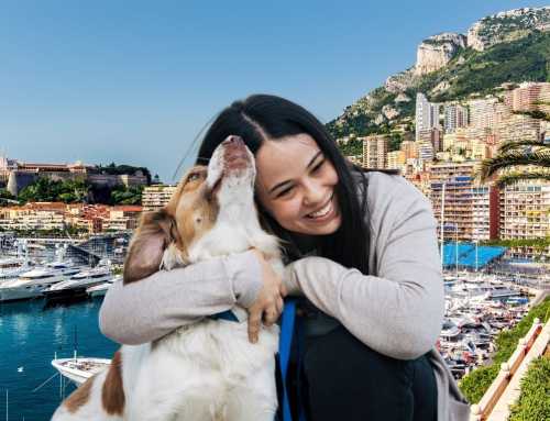 Rokethon Monaco 2026: A Day of Solidarity Against Animal Abandonment
