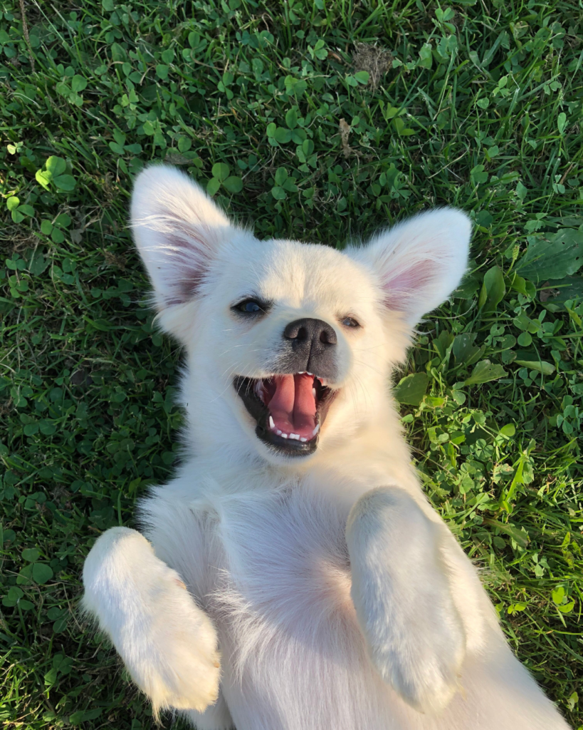 smile